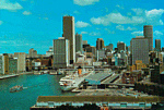 National View Postcard #P3124-1 thumbnail